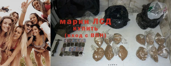 спайс Осинники