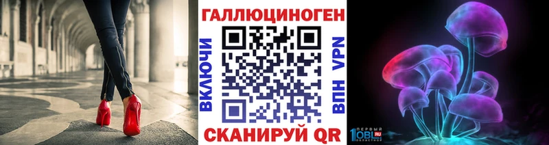 Галлюциногенные грибы Cubensis Нолинск